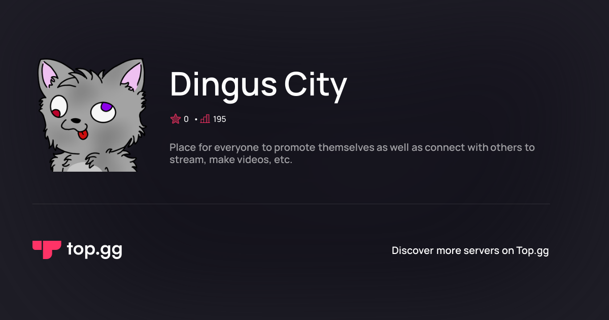 Join Dingus City Discord Server | The #1 Discord Server List